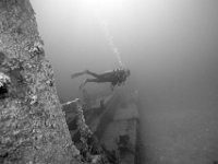 Wreck of Prince Albert   ROATAN JUNE2008 0738  Wreck of Prince Albert  -->